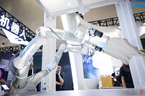 共商人工智能未來(lái) 世博展覽館再掀AI熱潮，聚焦人工智能基礎(chǔ)軟件開(kāi)發(fā)